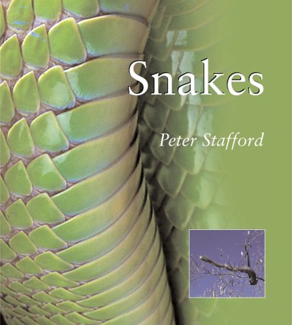 Imagen de archivo de Snakes a la venta por Better World Books