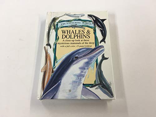 9781561384709: Whales & Dolphins (Unfolding World)