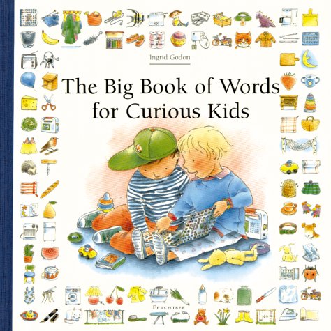 Imagen de archivo de The Big Book of Words for Curious Kids a la venta por Better World Books