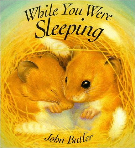 Beispielbild fr While You Were Sleeping zum Verkauf von Wonder Book