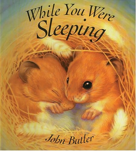 Beispielbild fr While You Were Sleeping zum Verkauf von Better World Books