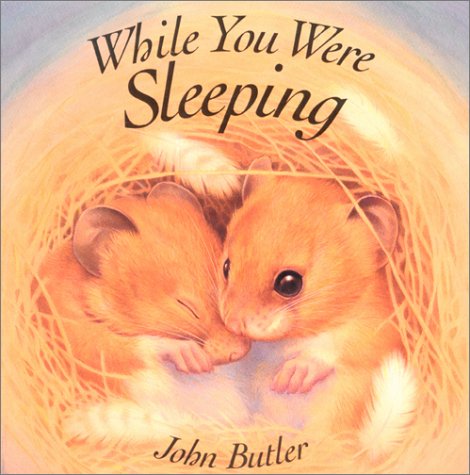 Stock image for While You Were Sleeping for sale by Your Online Bookstore