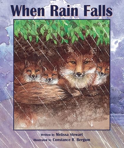 When Rain Falls (9781561454389) by Stewart, Melissa