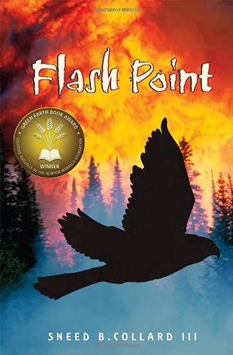 Stock image for Flash Point for sale by Front Cover Books