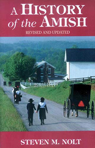 Beispielbild fr History of the Amish: Revised And Updated zum Verkauf von Wonder Book