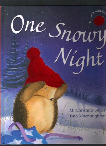 9781561484522: One Snowy Night