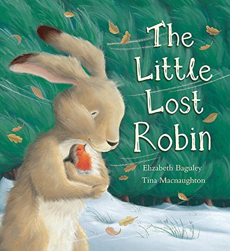Imagen de archivo de The Little Lost Robin a la venta por Better World Books: West