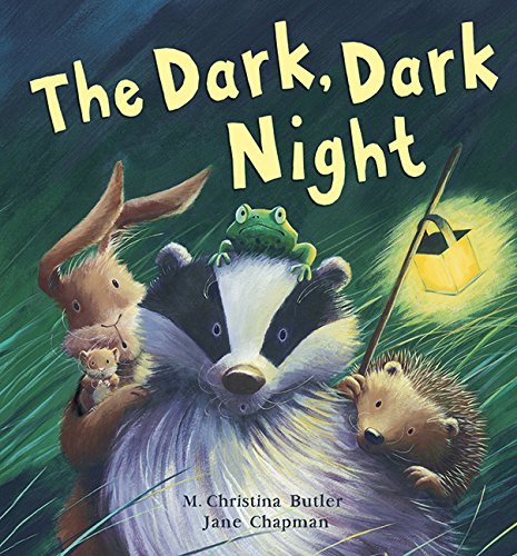 Beispielbild fr The Dark, Dark Night zum Verkauf von Revaluation Books