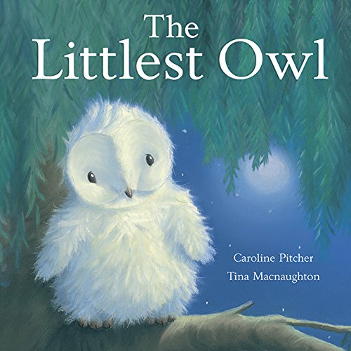 Beispielbild fr Littlest Owl zum Verkauf von Reliant Bookstore