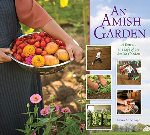 Beispielbild fr Amish Garden: A Year In The Life Of An Amish Garden zum Verkauf von Monroe Street Books