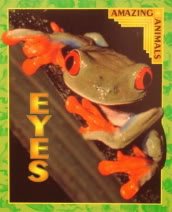 Beispielbild fr Amazing Animals Eyes zum Verkauf von Wonder Book