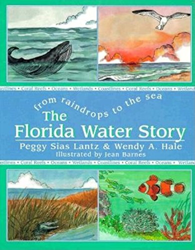 Stock image for The Florida Water Story: From Raindrops to the Sea for sale by Your Online Bookstore