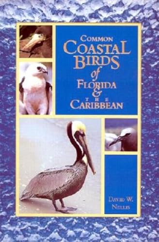 Imagen de archivo de Common Coastal Birds of Florida and the Caribbean a la venta por Hawking Books