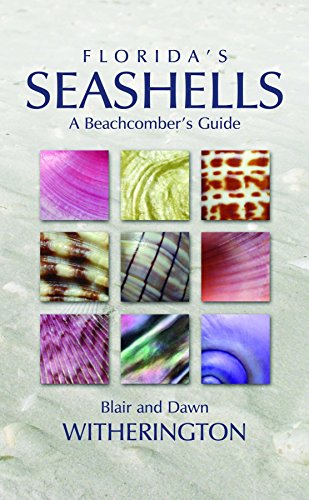 Stock image for Florida's Seashells: A Beachcomber's Guide for sale by Gil's Book Loft