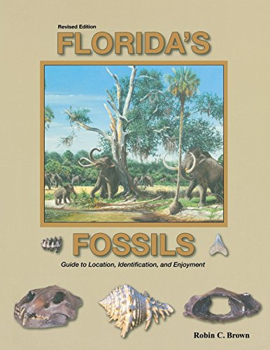 Stock image for Florida's Fossils for sale by Front Cover Books