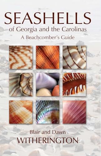 9781561644971: Seashells of Georgia and the Carolinas: A Beachcomber's Guide
