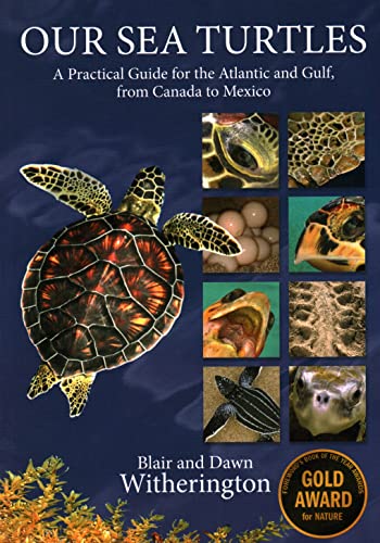 Beispielbild fr Our Sea Turtles: A Practical Guide for the Atlantic and Gulf, from Canada to Mexico zum Verkauf von ThriftBooks-Reno