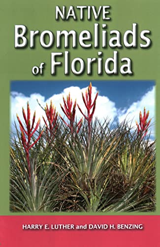 Imagen de archivo de Native Bromeliads of Florida a la venta por SecondSale