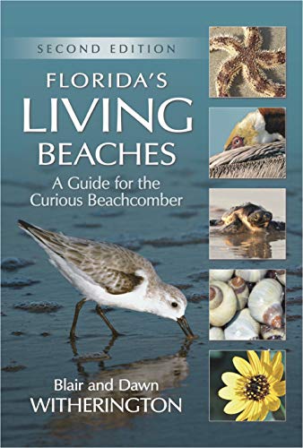 Imagen de archivo de Florida's Living Beaches: A Guide for the Curious Beachcomber a la venta por ZBK Books