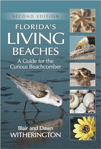 9781561649815: Florida's Living Beaches: A Guide for the Curious Beachcomber