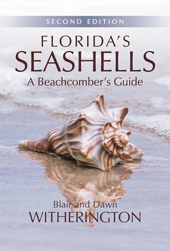 Imagen de archivo de Florida's Seashells: A Beachcomber's Guide a la venta por HPB-Diamond