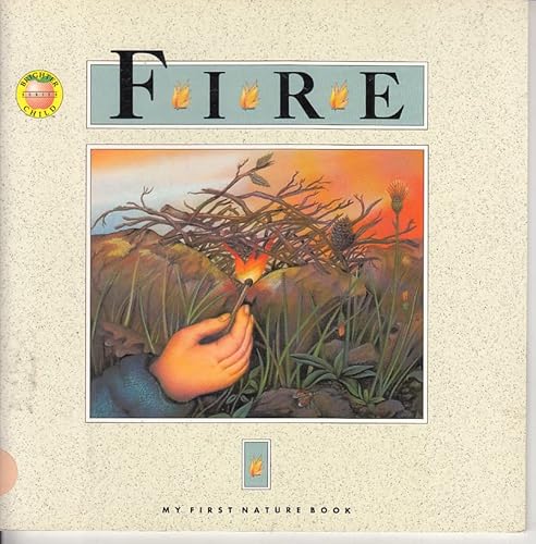 Stock image for Fire (Brighter Child) for sale by Ergodebooks