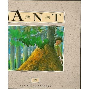Stock image for The Ant (My First Nature Book) for sale by medimops