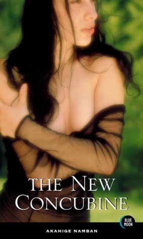 9781562013486: The New Concubine