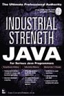 Industrial Strength Java.The ultimate professional authority. For serious Java programmers. CD-RO...