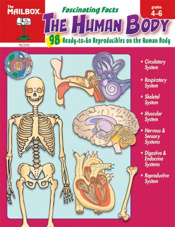Beispielbild fr Fascinating facts about the human body: A science book for grades 4-6 zum Verkauf von SecondSale