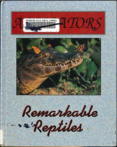 Imagen de archivo de Alligators (Remarkable Reptiles & Amazing Amphibians) a la venta por SecondSale