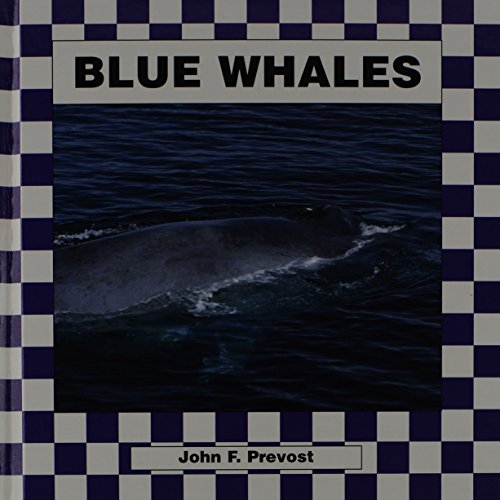 Beispielbild fr Blue Whales zum Verkauf von Better World Books