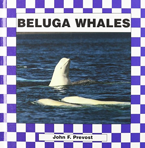 Stock image for Beluga Whales for sale by Front Cover Books