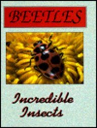 Imagen de archivo de Beetles a la venta por ThriftBooks-Dallas