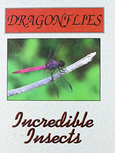Beispielbild fr Dragonflies (Incredible Insects) zum Verkauf von Wonder Book