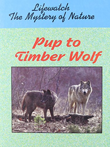 Stock image for Pup to Timber Wolf (Lifewatch) for sale by Wonder Book