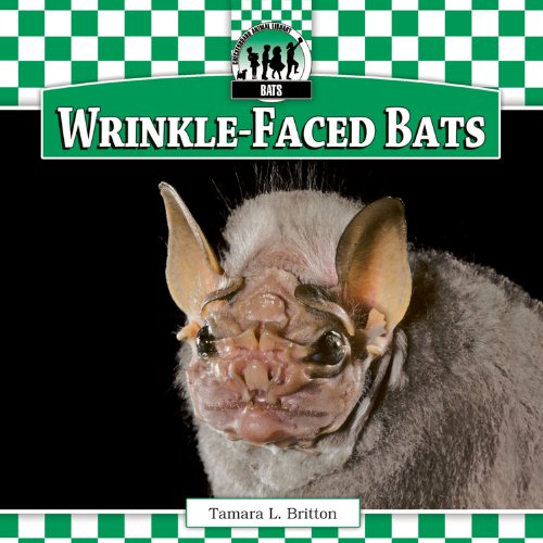 Stock image for Wrinkle-Faced Bats for sale by Dunaway Books