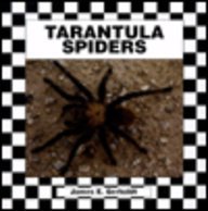 Imagen de archivo de Tarantula Spiders a la venta por Better World Books