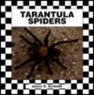 Stock image for Tarantula Spiders for sale by Better World Books
