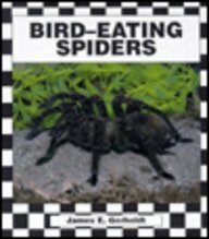 Stock image for Bird-Eating Spiders for sale by ThriftBooks-Dallas