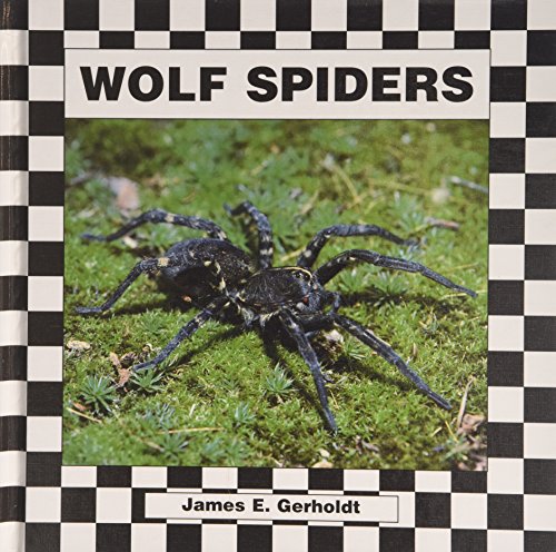 Beispielbild fr Wolf Spiders zum Verkauf von ThriftBooks-Dallas