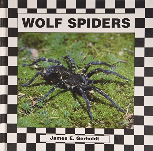 Stock image for Wolf Spiders for sale by Ergodebooks