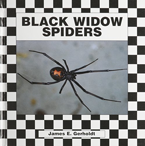 Imagen de archivo de Black Widow Spiders a la venta por ThriftBooks-Dallas