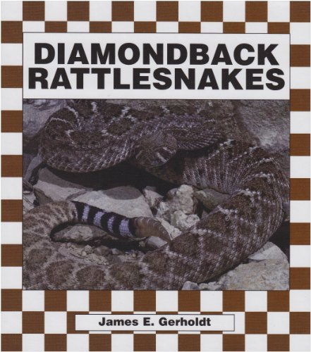 Stock image for Diamondback Rattlesnakes for sale by Better World Books: West