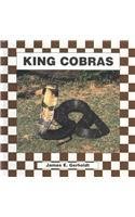 9781562395162: King Cobras (Snakes Discovery Library)