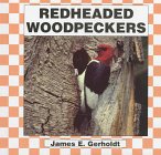 9781562395889: Red-Headed Woodpeckers
