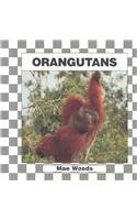 Stock image for Orangutans for sale by Better World Books