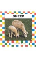Stock image for Sheep for sale by ThriftBooks-Atlanta