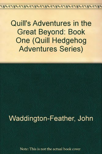 Stock image for Quill's Adventures in the Great Beyond, Book One for sale by Ryde Bookshop Ltd