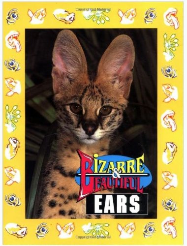 Stock image for Bizarre & Beautiful Ears for sale by HPB Inc.